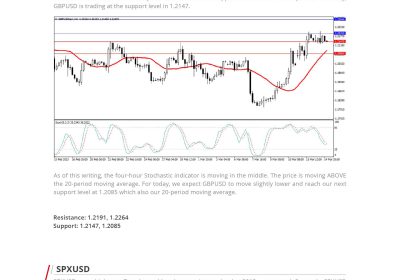 Daily Analysis