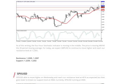 Daily Analysis