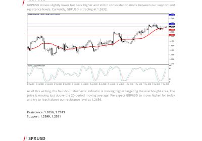 Daily Analysis