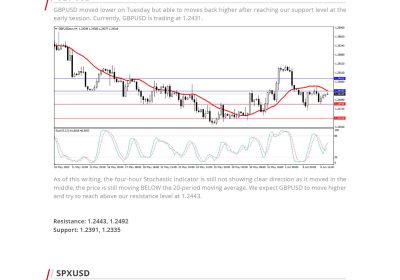 Daily Analysis