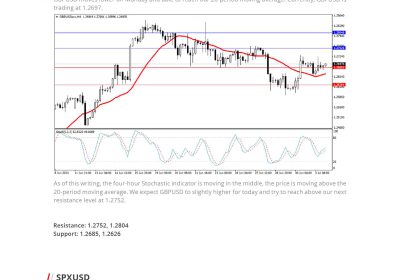 Daily Analysis