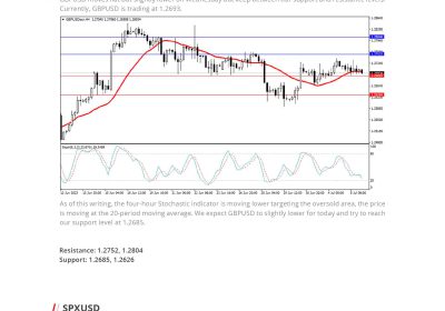 Daily Analysis