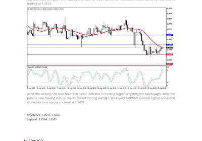 Daily Analysis