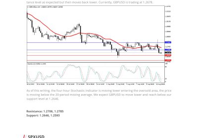 Daily Analysis