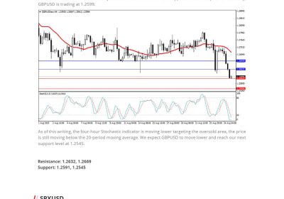 Daily Analysis