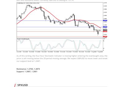 Daily Analysis