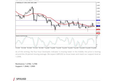 Daily Analysis