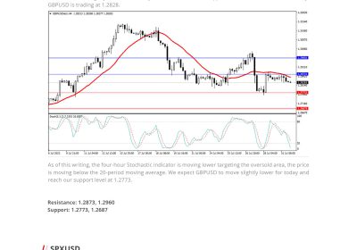 Daily Analysis