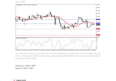 Daily Analysis