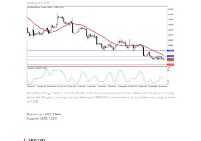 Daily Analysis