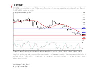 Daily Analysis