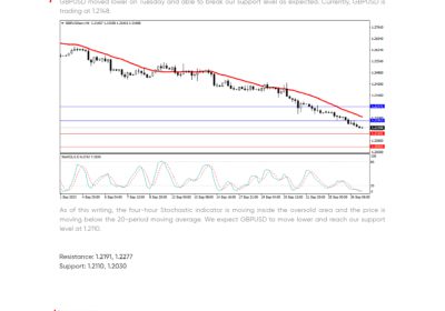 Daily Analysis