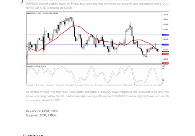 Daily Analysis