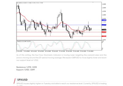 Daily Analysis