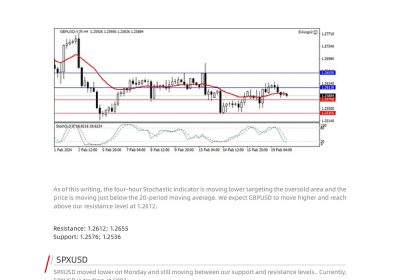 Daily Analysis