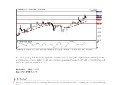 Daily Analysis