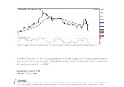 Daily Analysis